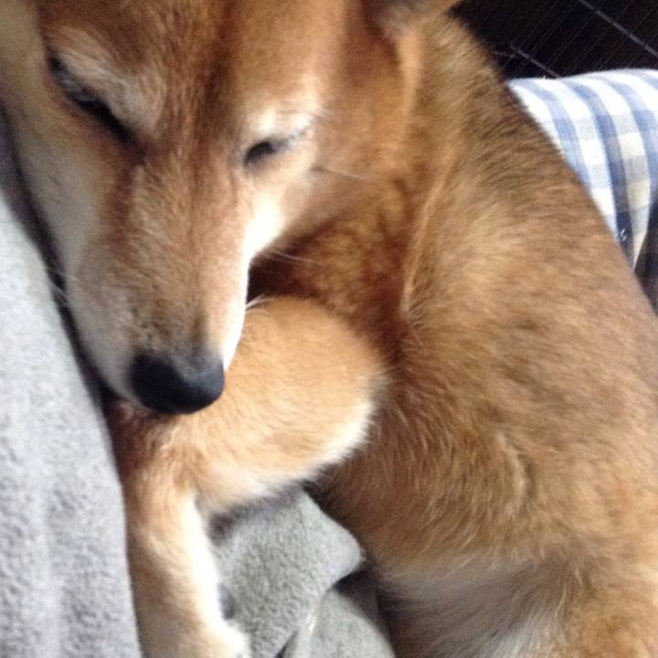 Ef73dac0 660d 48c8 a29f 1f7b91afc1a7 1521243369034