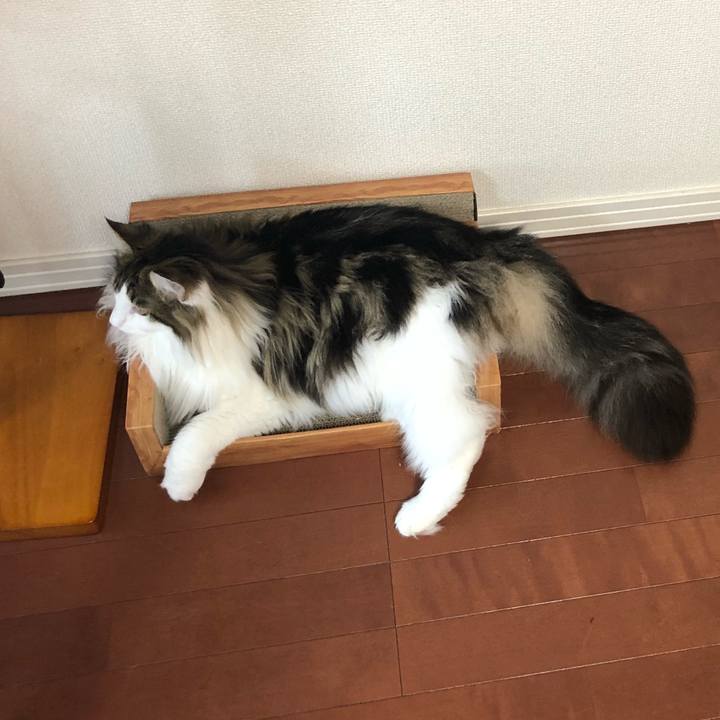 Ef73e829 a47d 4878 986d 9c4b918603c0 1529985569757