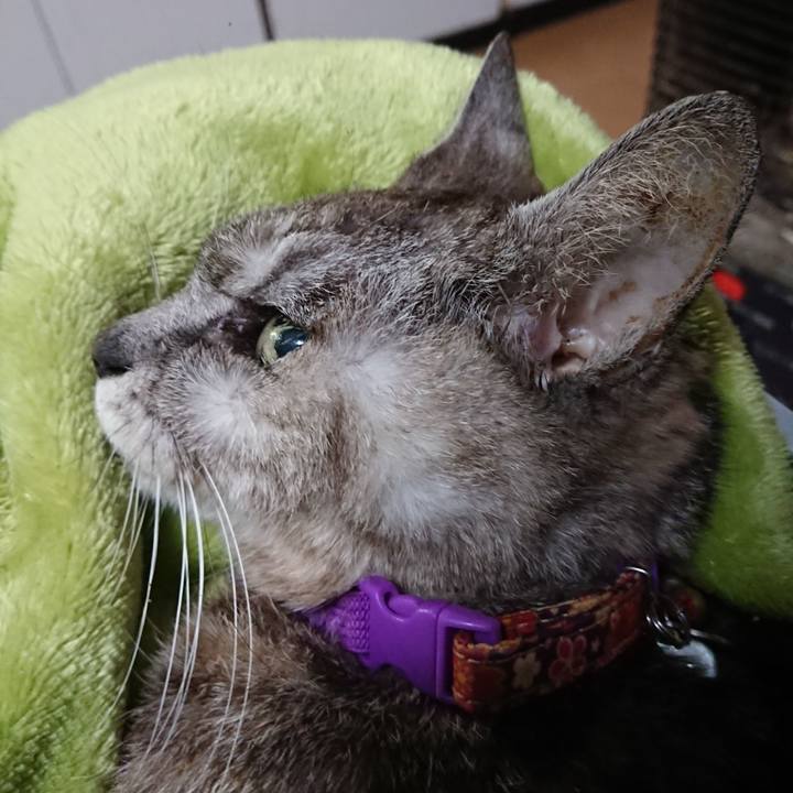 Ef73f917 bb34 49c7 bc31 13ce17c3f043 1599050372135