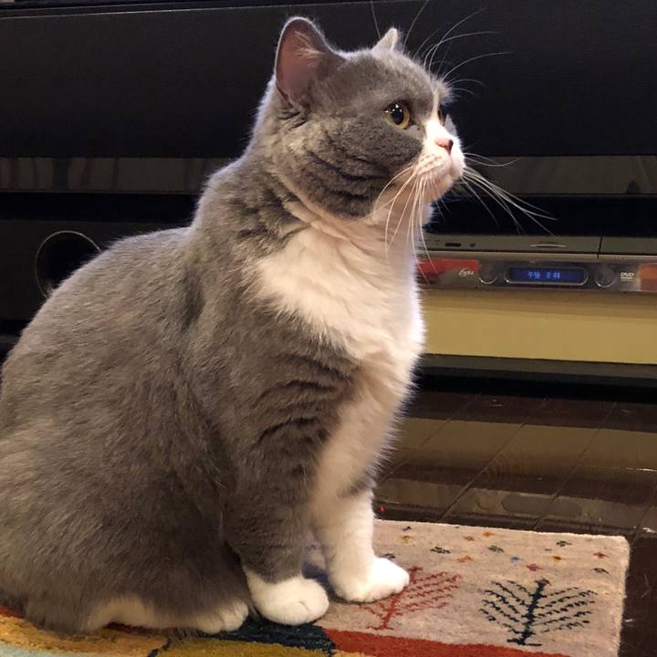 Ef740ecf 747e 4457 8010 10d2b74413b3 1525780052099