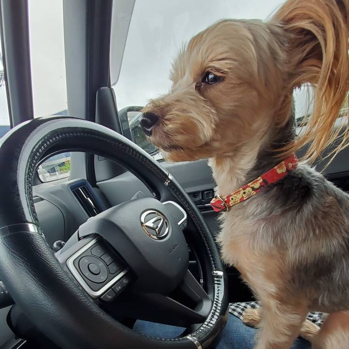 Ef742499 0903 435d 8e00 869997fe4519 1589850397486