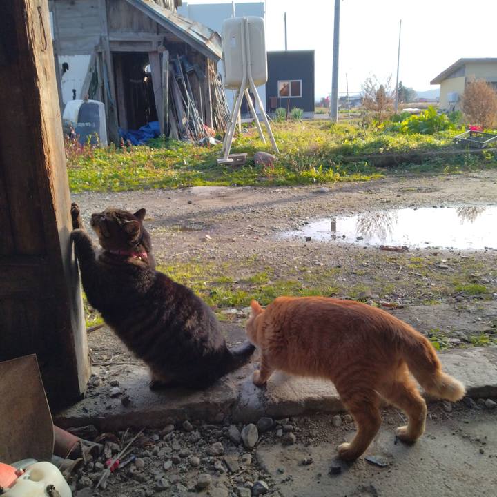 Ef74494e a277 44cc bacf 437ab15730a7 1669098321555