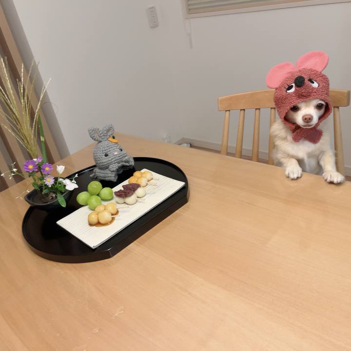 Ef74884e d72e 44f8 8fe6 cac7bded0890 1726568429725