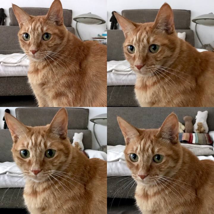 Ef748b59 d404 447d 977a e97acabfa5c5 1554267086636