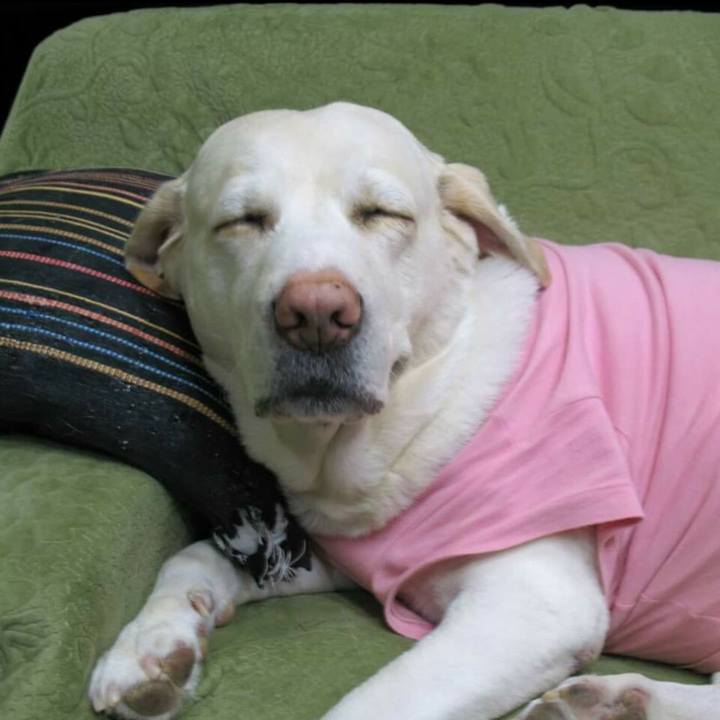 Ef74ff9a 9186 402b 8c72 3b55fc82b8f9 1629593200557