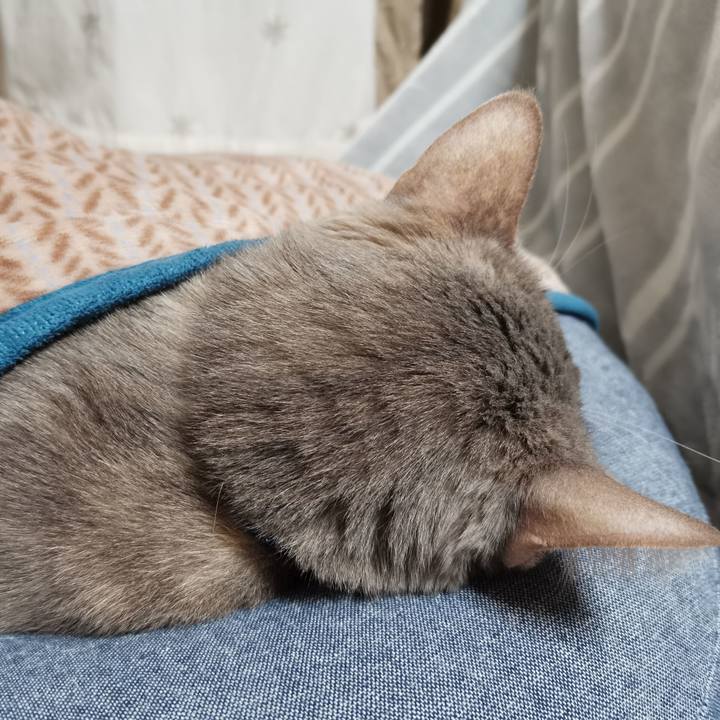 Ef750174 597c 421d 97e5 31c84c4e9846 1615865825924