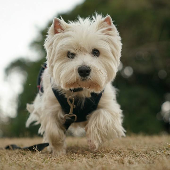 Ef7529b8 e563 4a85 8815 f5521cbcf84e 1513318301169