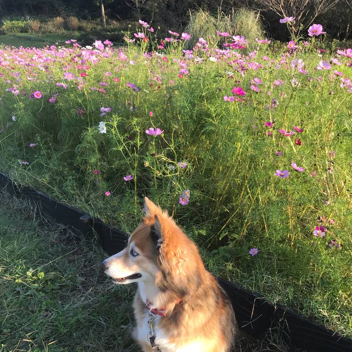 Ef7537ae 16ea 496d 94b1 7cee63062ab8 1572594083295