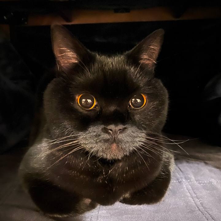 Ef7546dd 3388 422a 970d 923f09f70f93 1609075185998