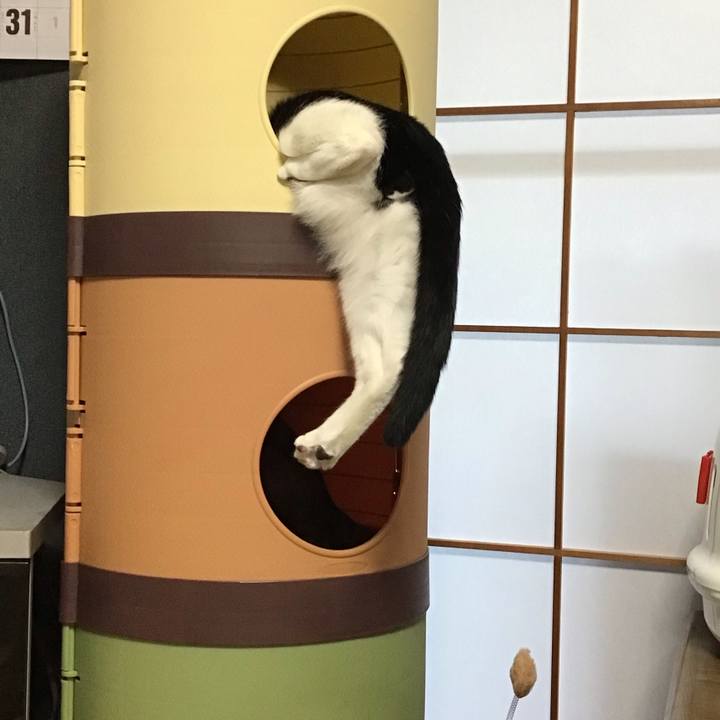 Ef757da3 fdf6 42b4 86e8 0427faccfc56 1639002344840