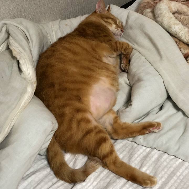 Ef759ec0 c559 471d 8008 83d13b3412b1 1631278048941