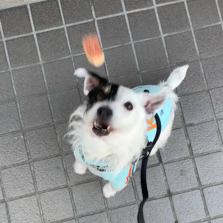 Ef75a2f9 7330 407d 9cf1 799e33c6ae80 1710637226045