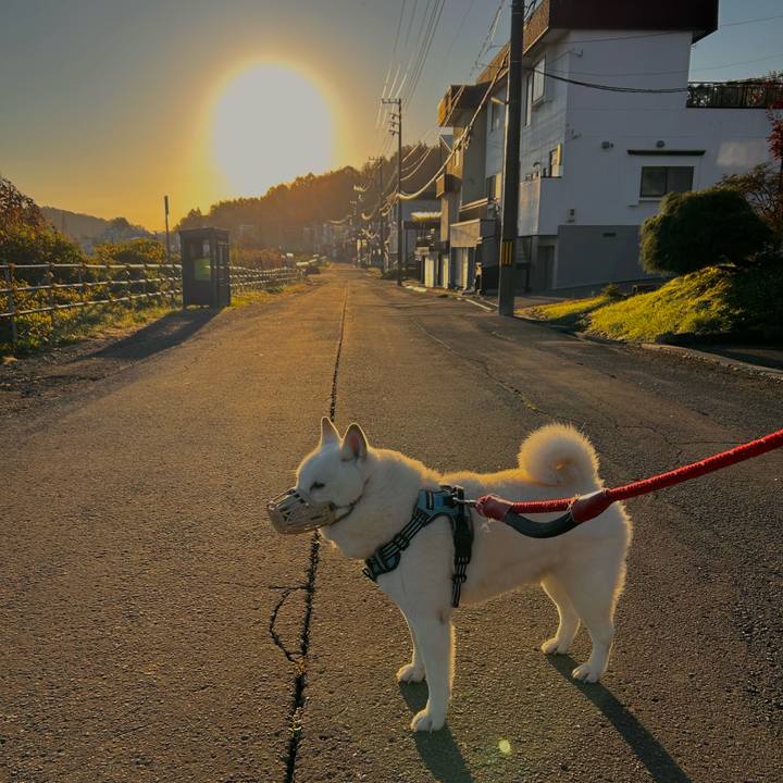 Ef75a750 c095 4f92 aa3d a8522e0ced4f 1729809099169