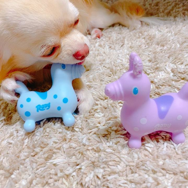 Ef761dfe 67bc 4172 a191 07a52576d23b 1627012751683