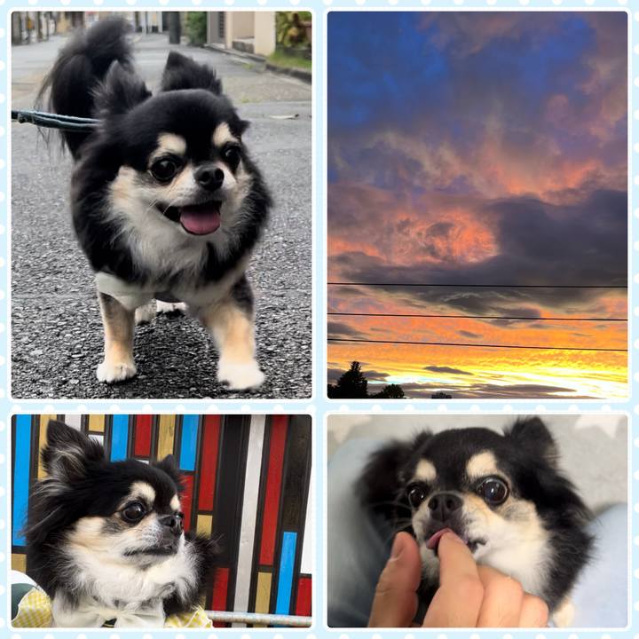 Ef762438 7fb7 4b65 abb0 5fb54974e41d 1725150656186