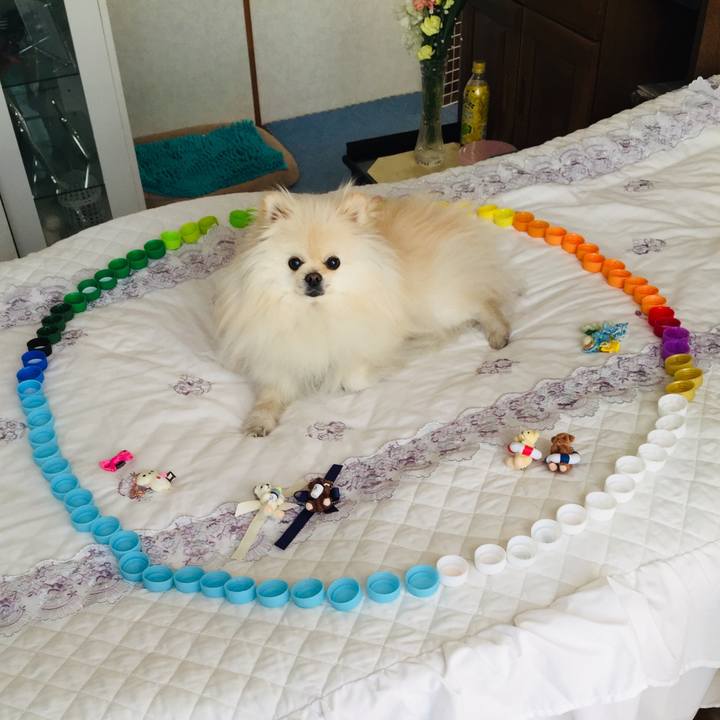 Ef7644dd 64cc 4907 8193 cd343966daf3 1552549150346