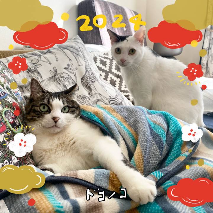 Ef76593f c6c6 4231 92a9 98f96dfc6a19 1704333060746