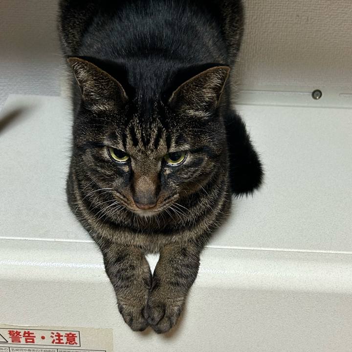 Ef767aa2 d132 4c40 ad35 a46dfaaff3b2 1767269935756