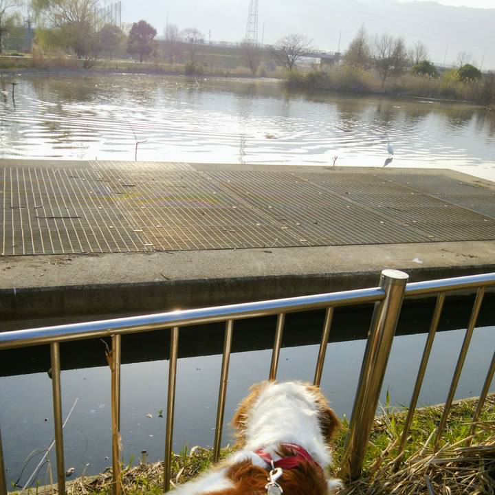 Ef7688e7 685c 4e56 b343 8fe3beeccba8 1553644629152