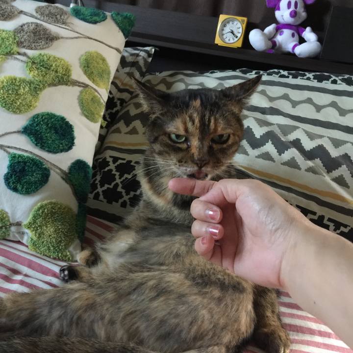 Ef769efd 4aa4 471d bb7f f4a02f7af680 1537346602030