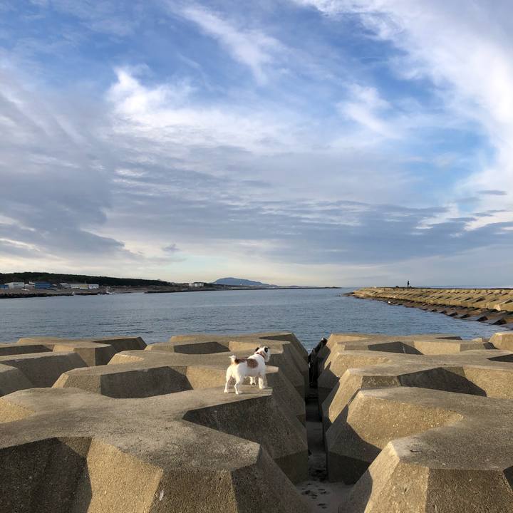 Ef76c5eb 5ff3 4bda bc8c 0b88e2c79c8c 1606259207217