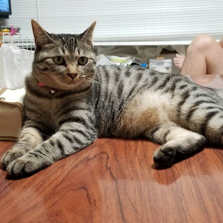 Ef772828 a00a 4448 a8a1 bda5dd455fd9 1688909251245