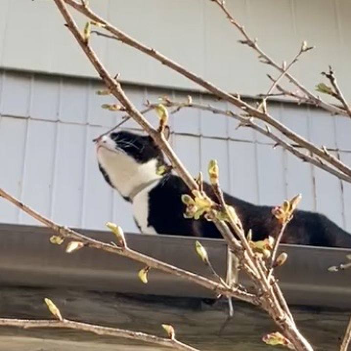 Ef774974 ec8f 456d 8fee b0dda395dc87 1729713539400