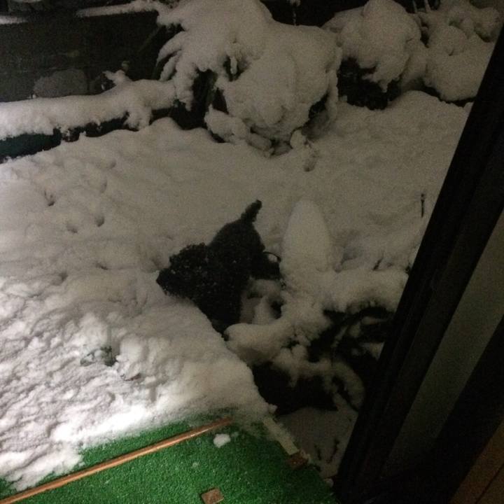 Ef774ae1 254d 4b2c b2c8 5accbae9c966 1516704276078