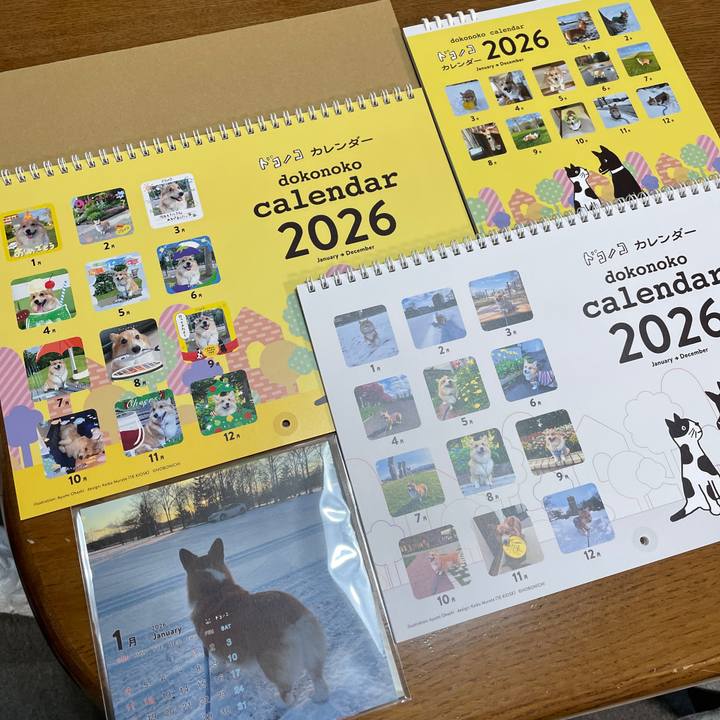 Ef776a2f ddae 4309 a4b4 a7f0eb024d0a 1766153019294