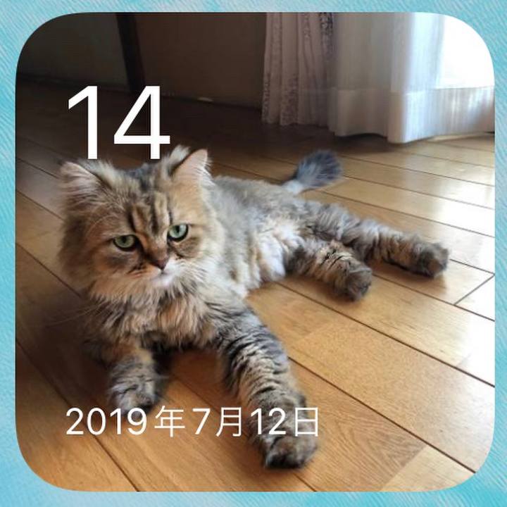 Ef77830e 28ae 4586 a8fa 67104ad67fe1 1657799933002