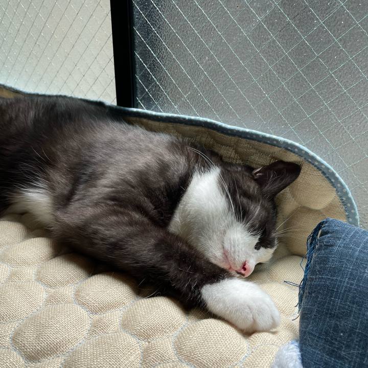 Ef77aa05 fb03 48ba b2b0 43f8f2e61d60 1656301314457