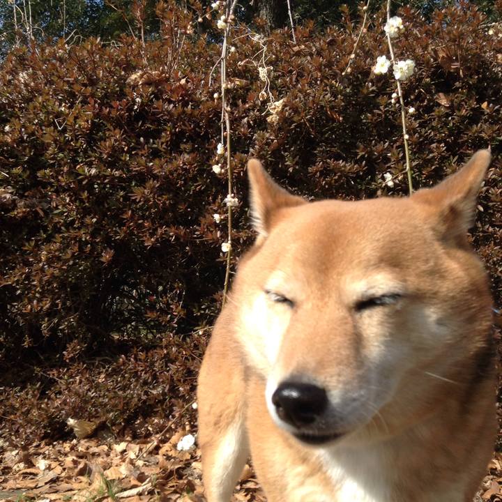 Ef77dc6e f76f 4462 8976 4ef10966c01b 1518755664911