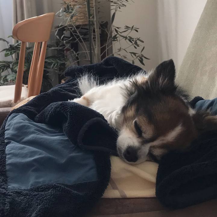 Ef781a8e aa14 427d a8c5 a4b320a9a4ad 1703654134424