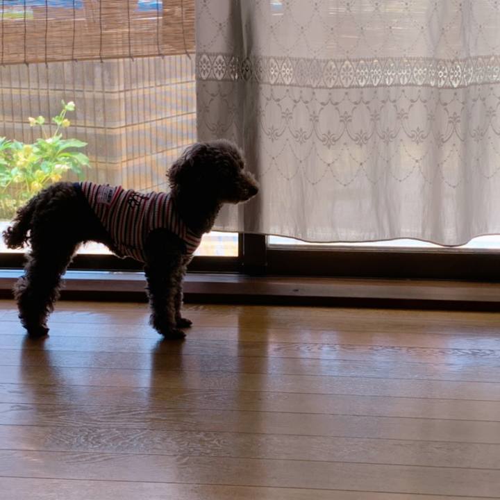 Ef78241d 6e37 4b5b 9ac8 39ee91dd9bb4 1590286645982