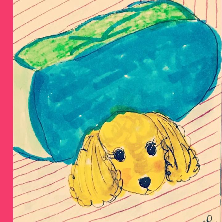 Ef7845df 754a 4949 8ba6 7b67d4ae28d7 1551625006013