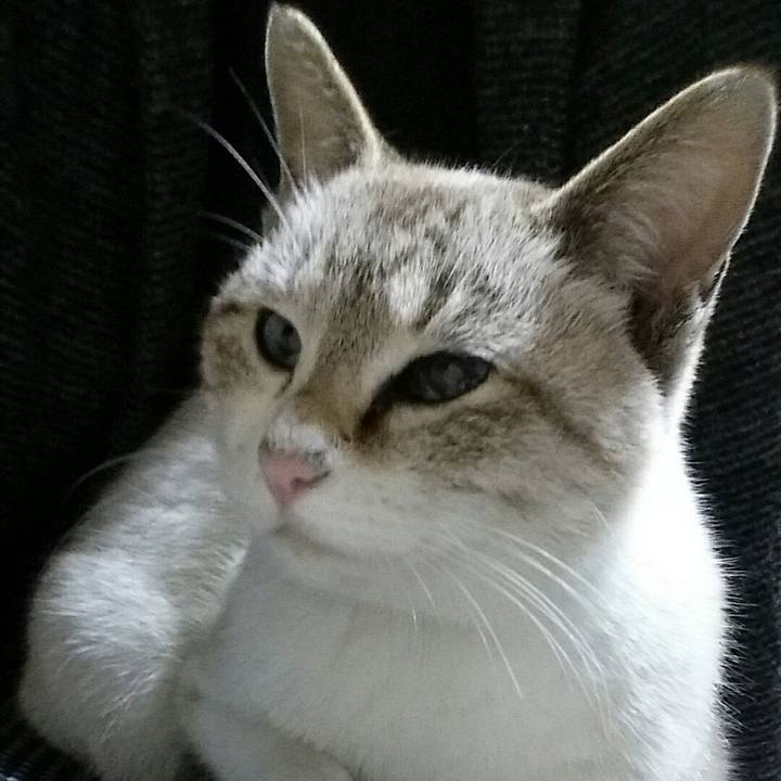 Ef785bce 2c2e 4916 b067 4be41289ab37 1517144077927