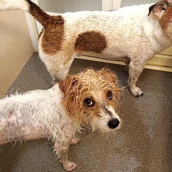 Ef78613c f505 48ed 8855 cf21a0b97afe 1547298220911