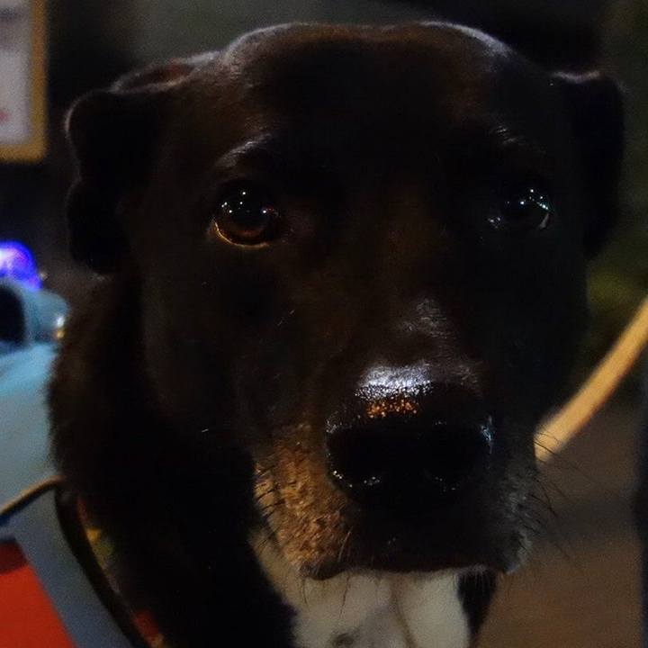 Ef78a850 5c7a 479c 8c5a 6beb4f2d785d 1675681627764