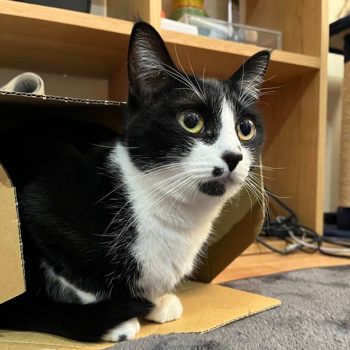 Ef78c85d d719 4683 8058 2c549c556e49 1643762239441