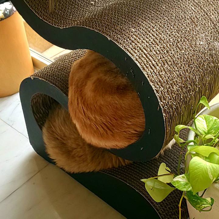 Ef78dba3 5324 456b 83a6 52eda446ec31 1572496608079