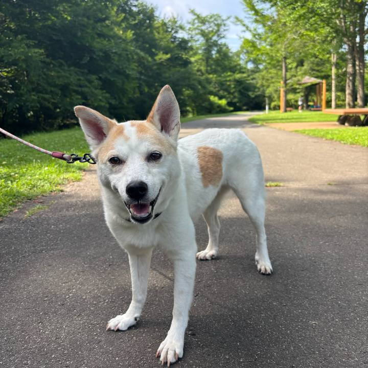 Ef78e054 fb7e 4033 a056 7cf9f902e464 1753066606787