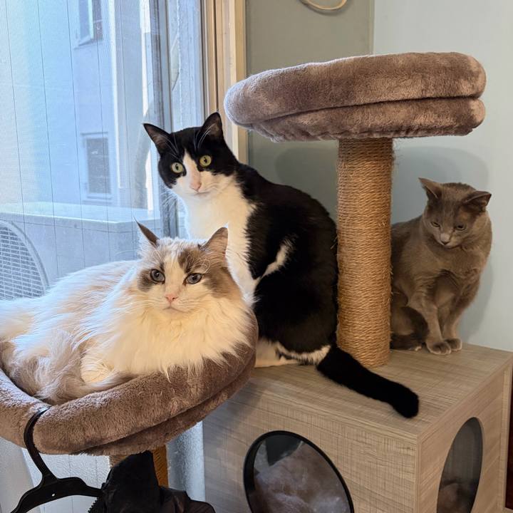 Ef78f277 7f0a 4399 9a37 e3e25a309554 1767412317569