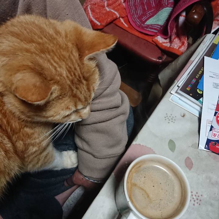 Ef7935d7 ccb6 4866 8869 a190a95a94f7 1585685811695