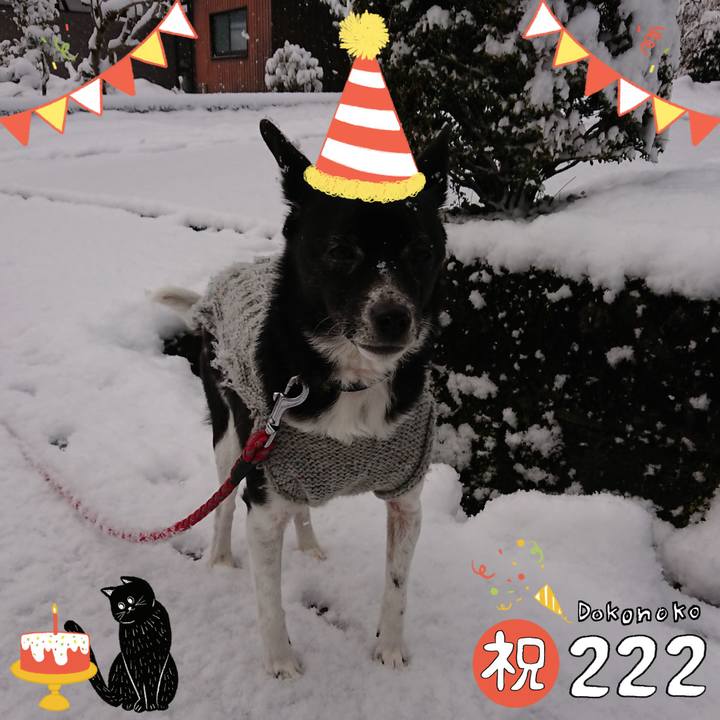 Ef793d0c 704d 498d a887 d45ae864fdf9 1645544988402