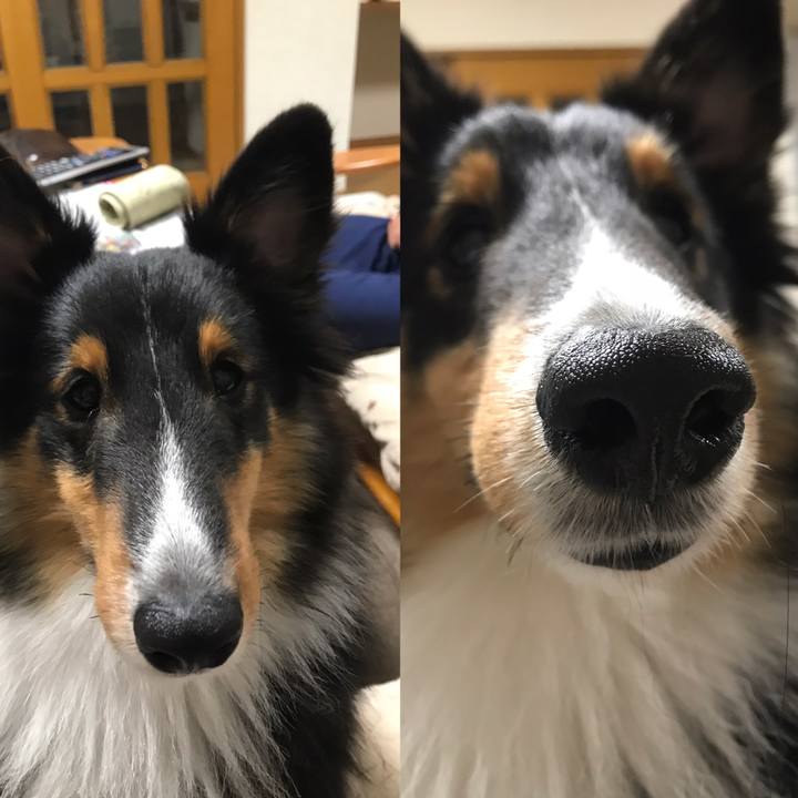 Ef795014 e832 4a90 95ff bc95a8cb1278 1542059891557