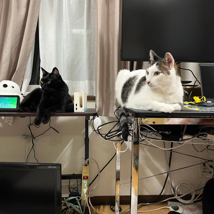 Ef79559e 545d 441e 8371 c0c57c6fc47e 1713361456772