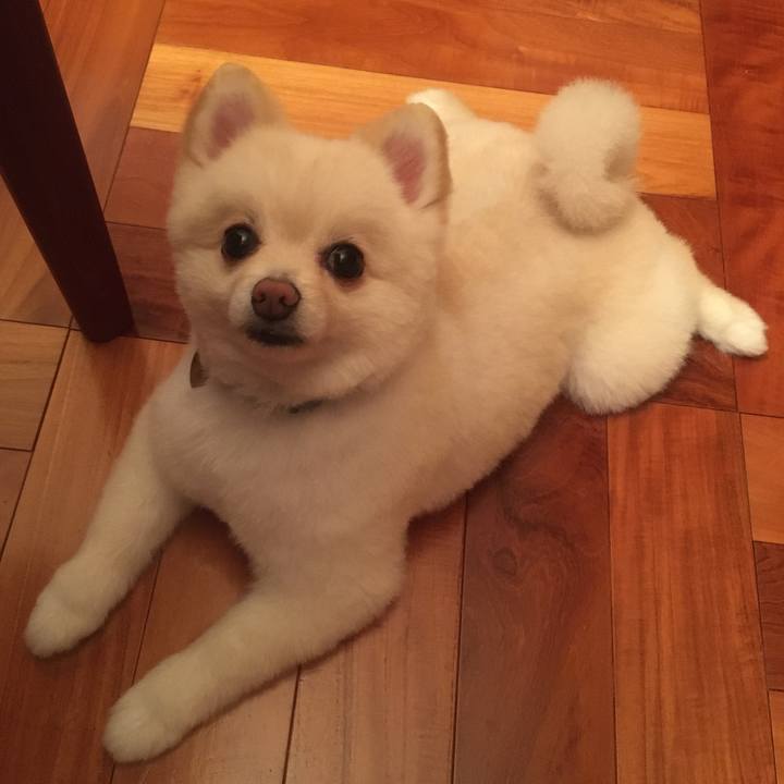 Ef797a87 109a 4902 a7b7 9feaf2254547 1599387395571