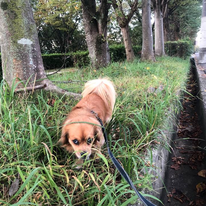 Ef79bdbc ddec 4296 9d66 3f9b3d740e4a 1539730034000