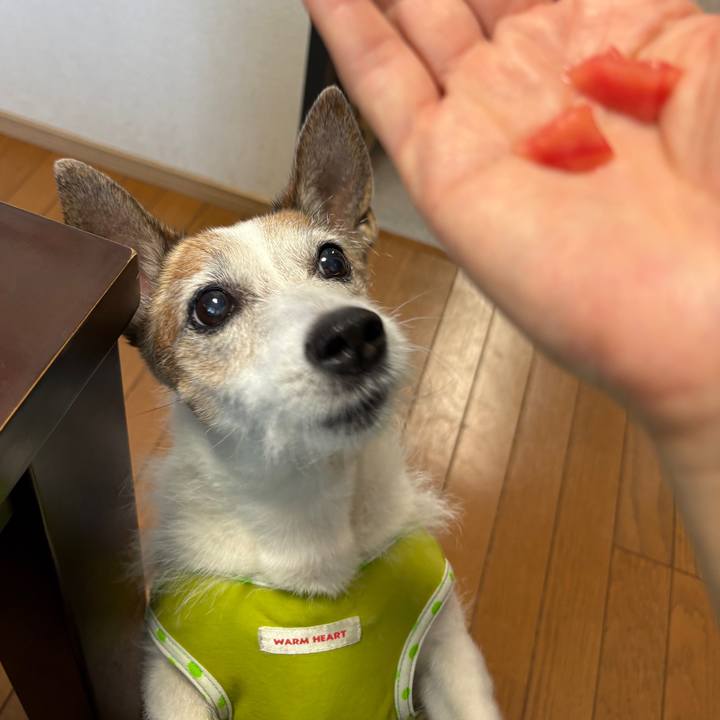 Ef79c39b cb2f 4e00 9632 6d9aeff4c820 1752190175255