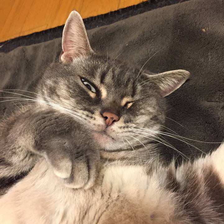 Ef79dad5 3d40 4a9a 8483 08be214580bc 1526473693189